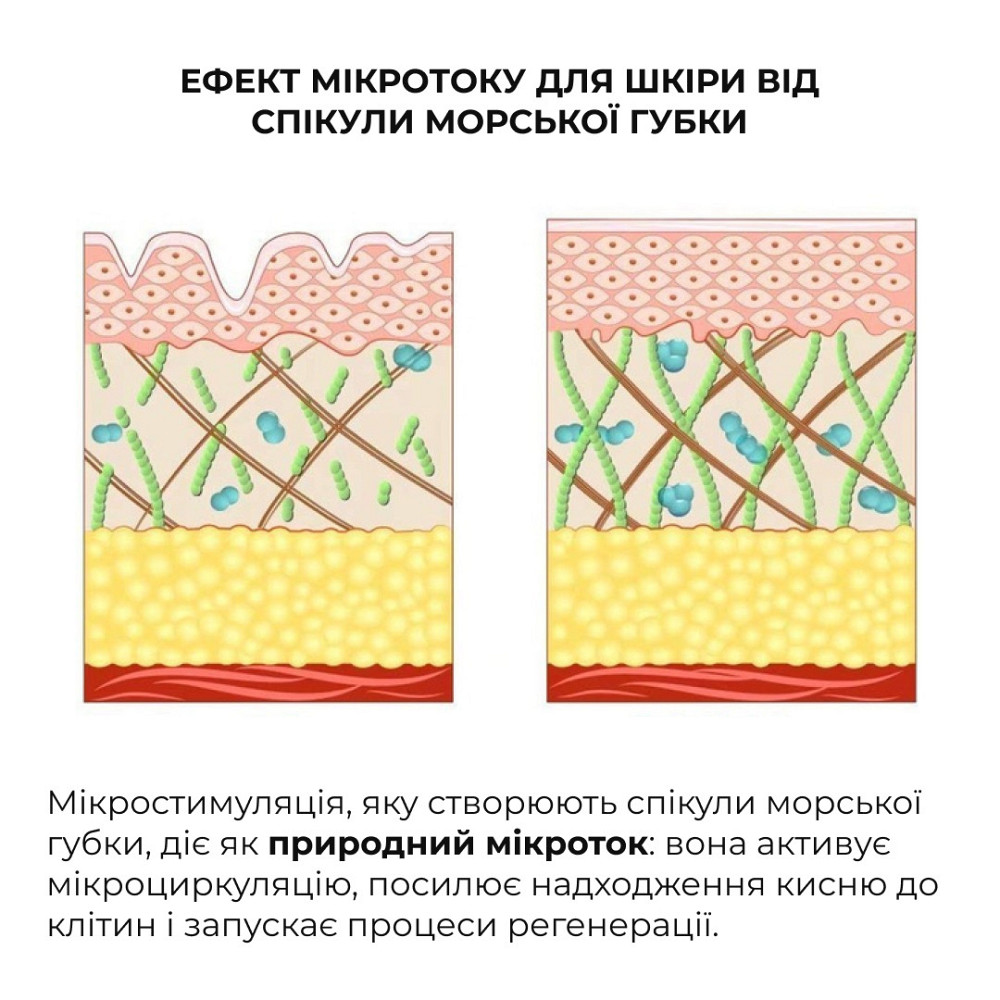 Сироватка для глибокого оновлення шкіри Hillary DeepRenew Trio Serum, 30 мл Київ - фото 5