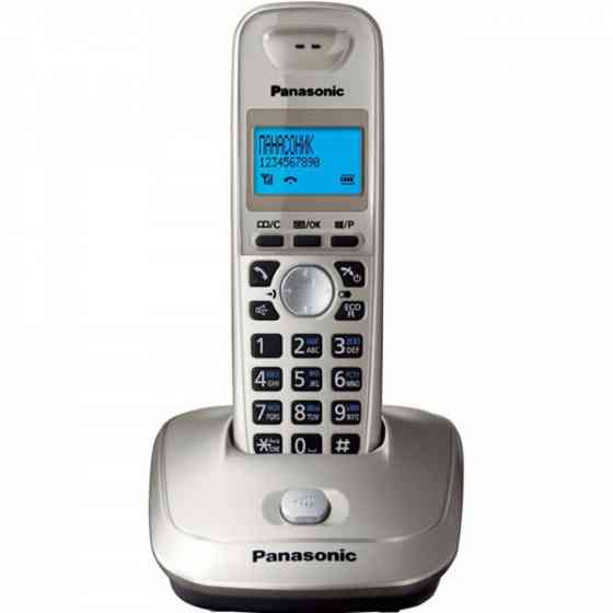 Телефон DECT Panasonic KX-TG2511UAN Platinum (KX-TG2511UAN) Киев