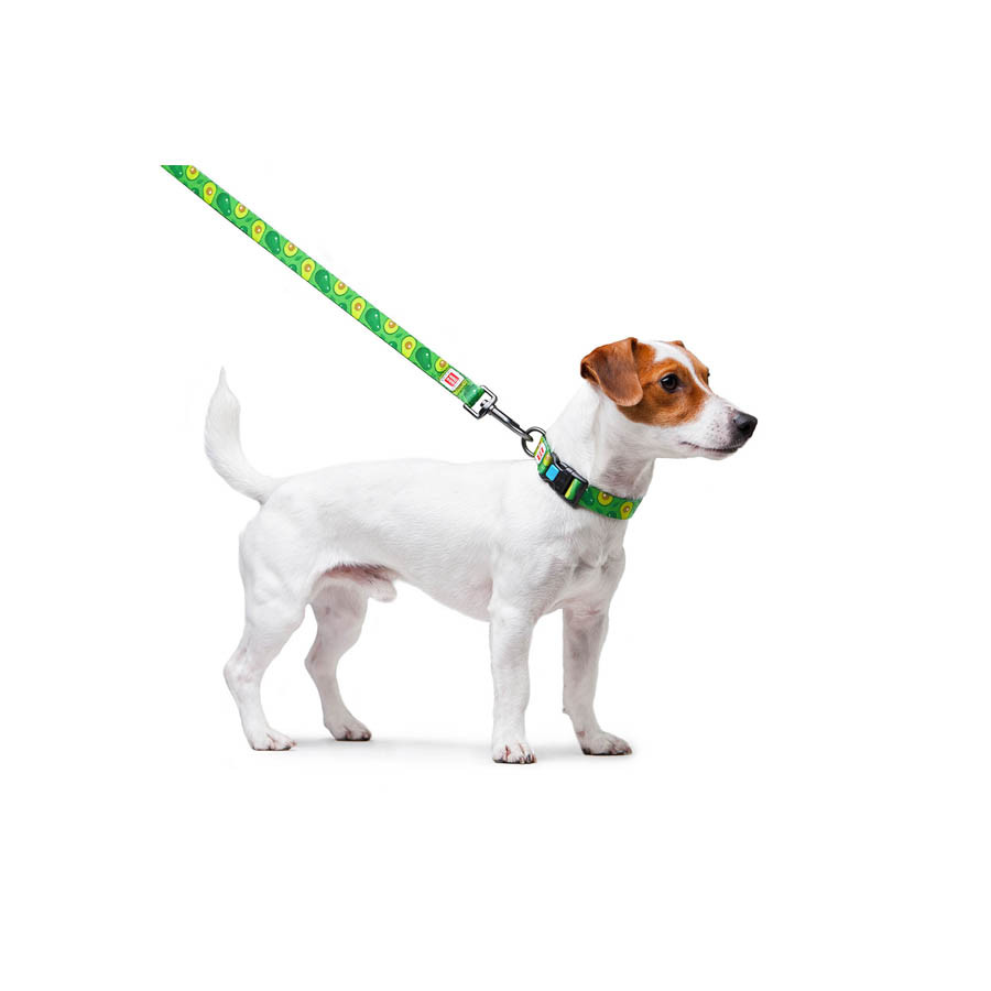 Повідець для собак нейлоновий WAUDOG Nylon, малюнок "Авокадо", Ш 20 мм, Дов 122 см Коломия - фото 2