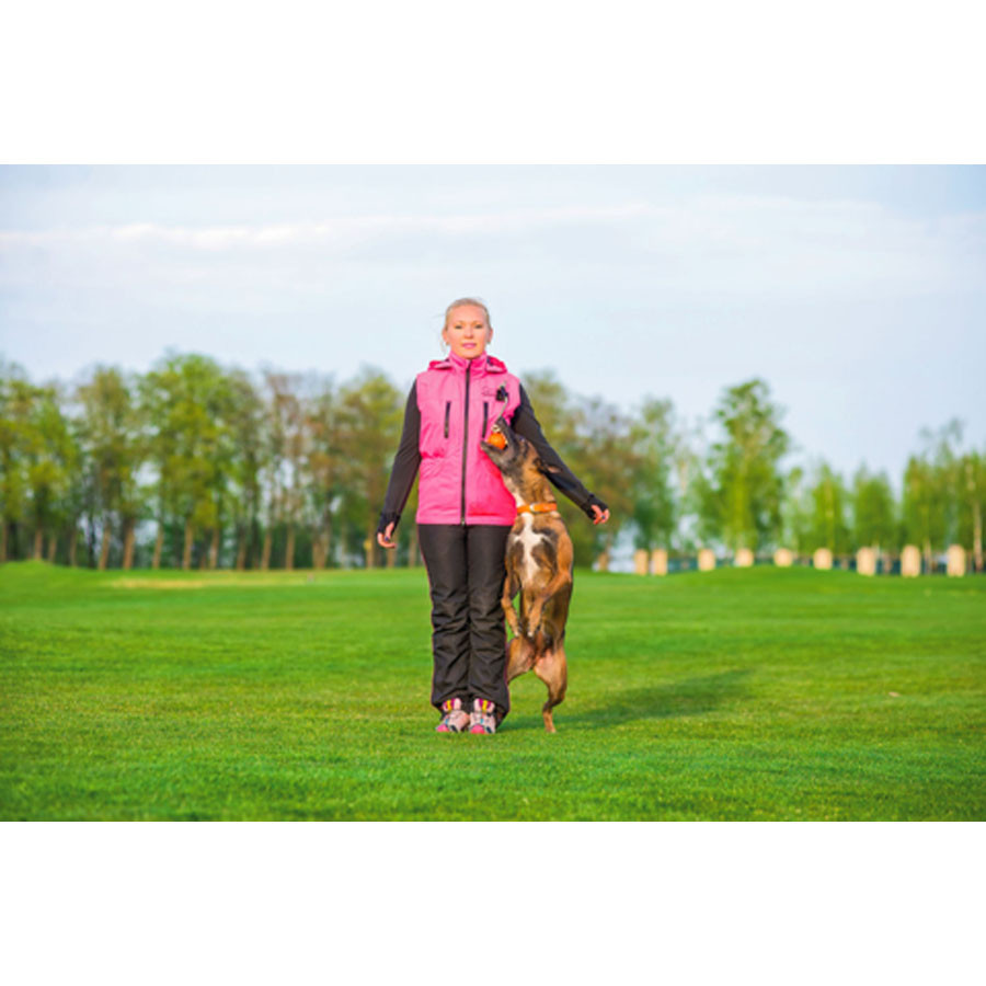 М'ячик ЛАЙКЕР9 Магніт із комплектом магнітів, діаметр 9 см Вінниця - фото 4