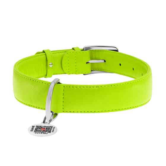 Нашийник для собак шкіряний WAUDOG Glamour з QR паспортом, без прикрас, XL, Ш 35 мм, Дов 46-60 Коломия