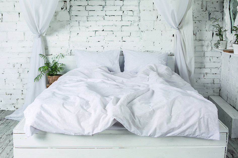 Ecotton Простирадло Ecotton полуторне 147х210 см Бязь рис.20-0256 White біле Коломия - фото 1