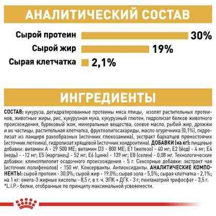 Royal Canin Poodle Adult (Роял Канін Пудель Едалт) сухий корм для дорослих собак породи пудель від 10 місяців Запоріжжя