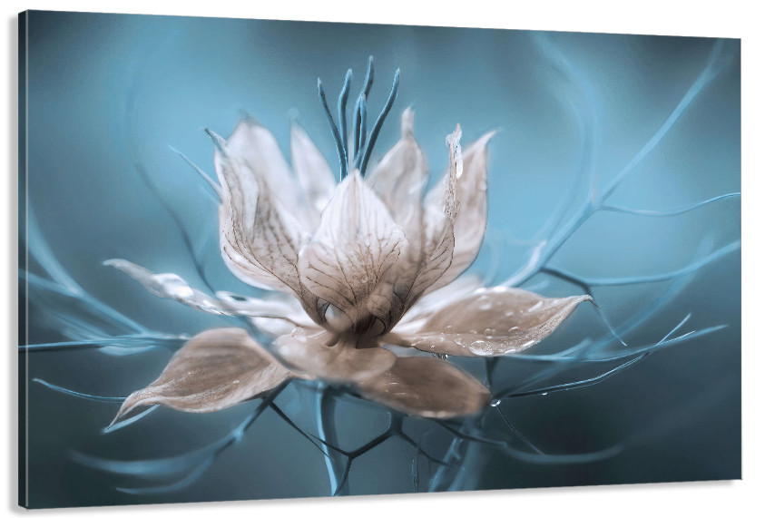 Картина полотно у вітальню / спальню   Квітка  MLP_273 ( 60х30см ) 80х160см Київ - фото 1