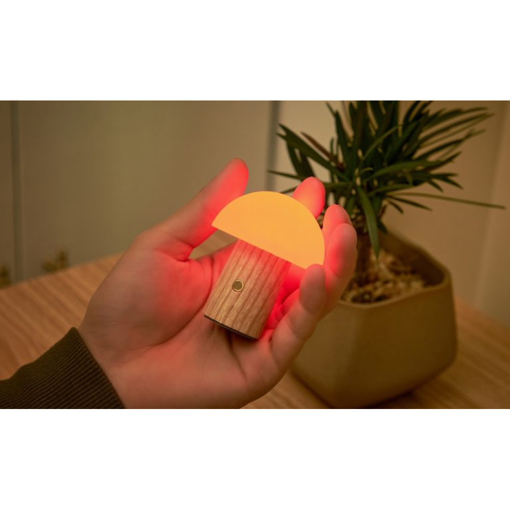 Светильник на аккумуляторе Gingko Alice Mushroom Lamp Super Mini RGB 65 мм (Белый ясень) Киев - изображение 4