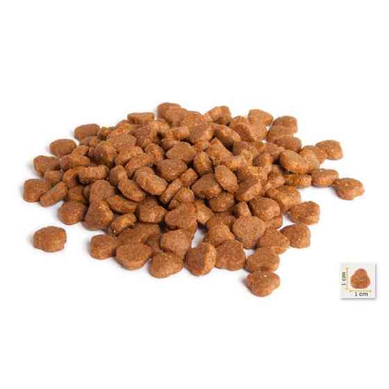 BonaCibo Adult Cat Lamb Rice (Бонасібо Едалт Кет Ягненья Різ) корм для котів з чутливим травленням 5 кілограмів. Запоріжжя