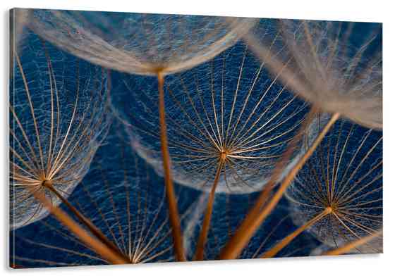 Картина полотно у вітальню/ спальню Жовті Тюльпані MLP_135 40x80 см Київ