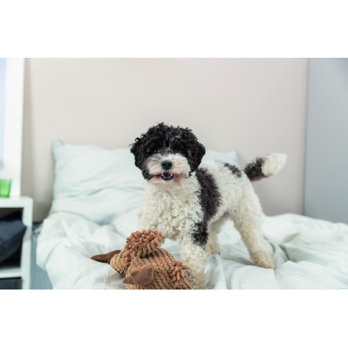 Игрушка Trixie для собак Гриф Густав ткань и плюш 28 см Киев - изображение 4