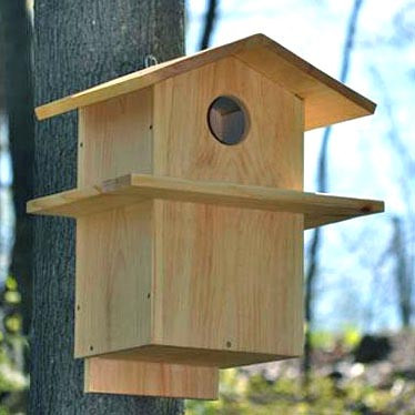 Домик для белок 