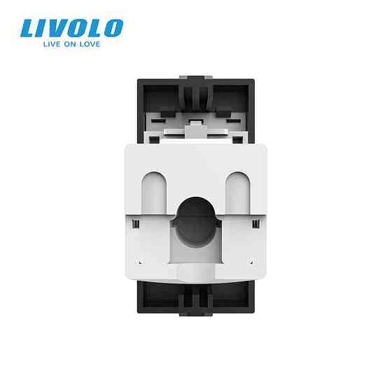 LIVOLO Інтернет-розетка RJ-45 (8P8C Cat.6) LIVOLO, чорна, модуль 0.5 поста, з шторкою (VL-FCCP- Коломия