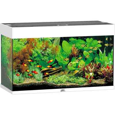 Аквариум Juwel Rio 125 LED белый (4022573014501) Винница
