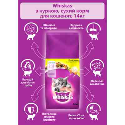 Сухий корм для кішок Whiskas з куркою для кошенят 14 кг (5900951014369) Вінниця