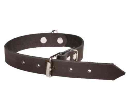 Нашийник 110 14мм "Економ" шкіра з 2-х частин Вінниця
