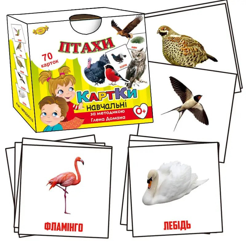 Картки за методикою Глена Домана. Птахи. 70 шт, шт Киев - изображение 1