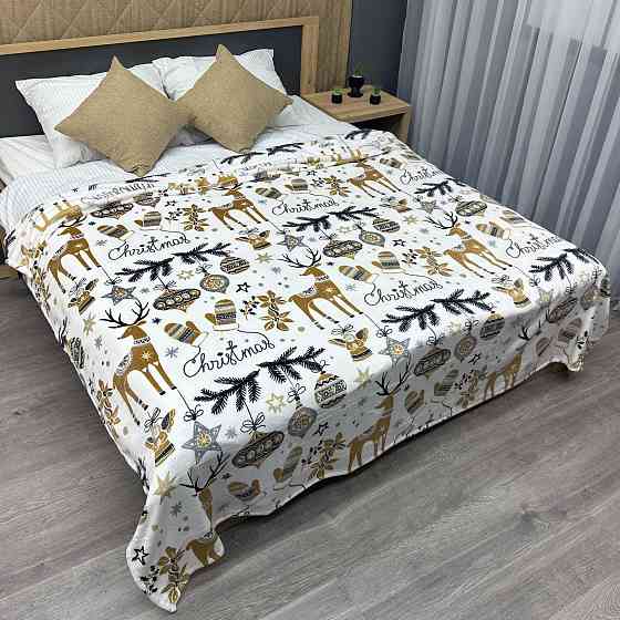 Плед-покривало Decorator WellSoft 150х210 см з різдвяним принтом Різнобарвний (87-178) Київ