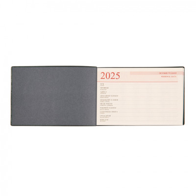 Еженедельник Leo planner датированный 2025 Apiro 10х15 см 128 страниц (252571) Винница - изображение 3