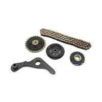 Натягувач ланцюга ГРМ Delta (3 ролики, важіль, ланцюг) FLASH Київ