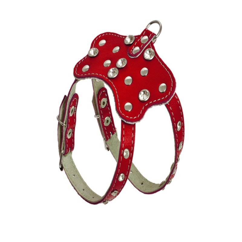 014 КОМПЛЕКТ "ПЕРЛАМУТР":шлейка" 804"+ Повідець"789" Вінниця - фото 1