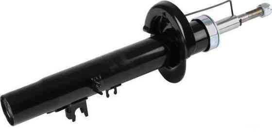 Амортизатор передній левий Raiso (Швеція) Peugeot 1007, Пежо 1007  02-09  #RS312420 UACGNCD22 Ковель