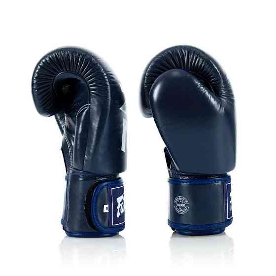 Боксерські рукавиці Fairtex BGV1-ONE (натуральна шкіра) Blue 10 унцій (бинти в комплекті) Каменское