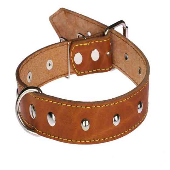 Нашийник 513 35мм "Класик" шкіряний прикрашений Вінниця