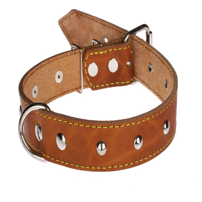 Нашийник 513 35мм "Класик" шкіряний прикрашений Вінниця - фото 1