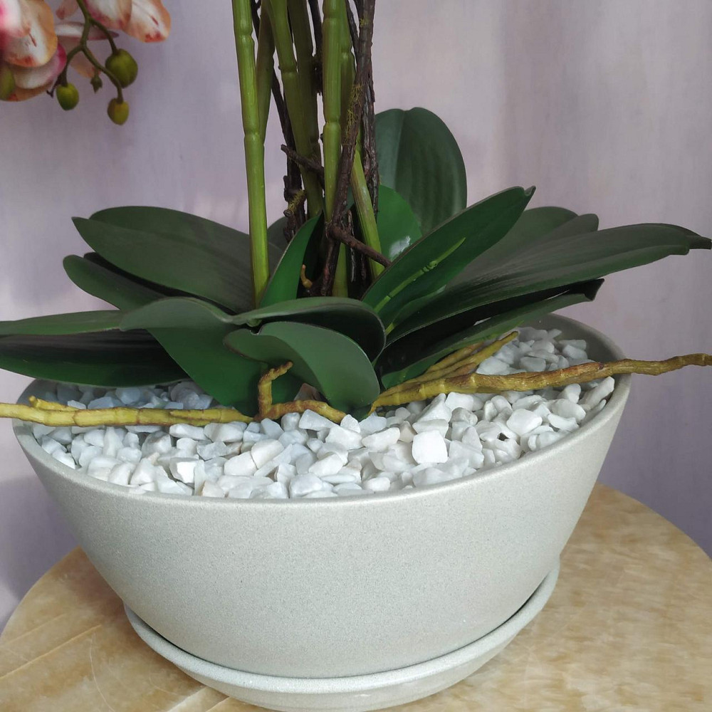 Штучна латексна орхідея VIP у бежевому керамічному кашпо на п'ять гілок кремово-бордова Дніпро - фото 4