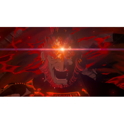 Гра Nintendo Legend of Zelda Tears of the Kingdom, картридж (Switch 2) (0045496312572) Вінниця - фото 7