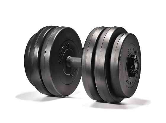 Гантелі Elitum 2 х 26кг Киев