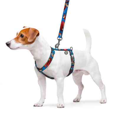 Шлея для собак WAUDOG Nylon H-подібна з QR-паспортом "Сила Супермена", пластиковий фастекс L (345-1079) Вінниця