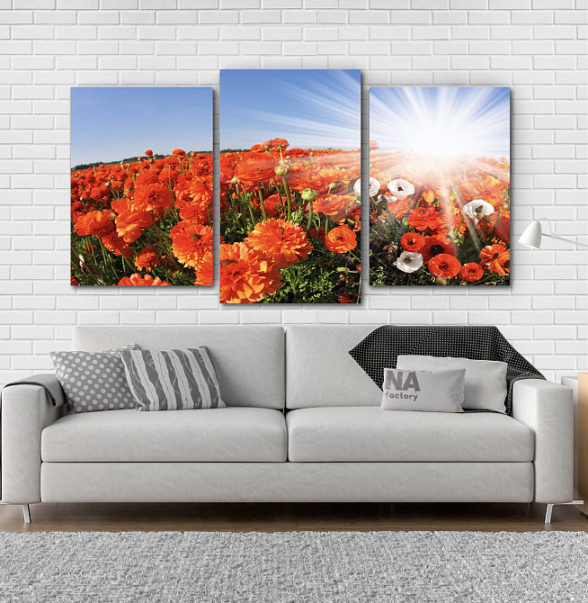 Модульна картина Квіти Маки Art-19_3 Київ - фото 2