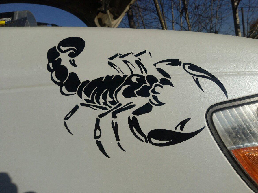 Наклейка на авто Скорпіон Тюнінг авто Київ - фото 5