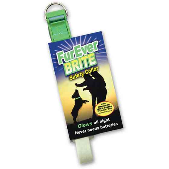 Davis FurEver Brite Safety Collar ДЭВИС светящийся ошейник для собак Киев