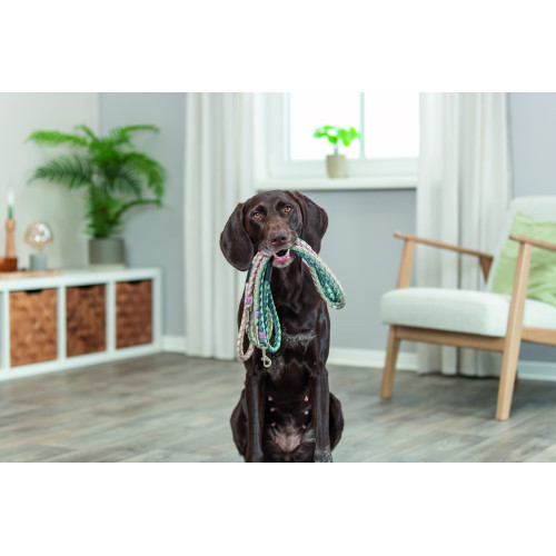 Поводок Trixie Cavo для собак L–XL 1 м диаметр 18 мм розово-песочный. Киев - изображение 3