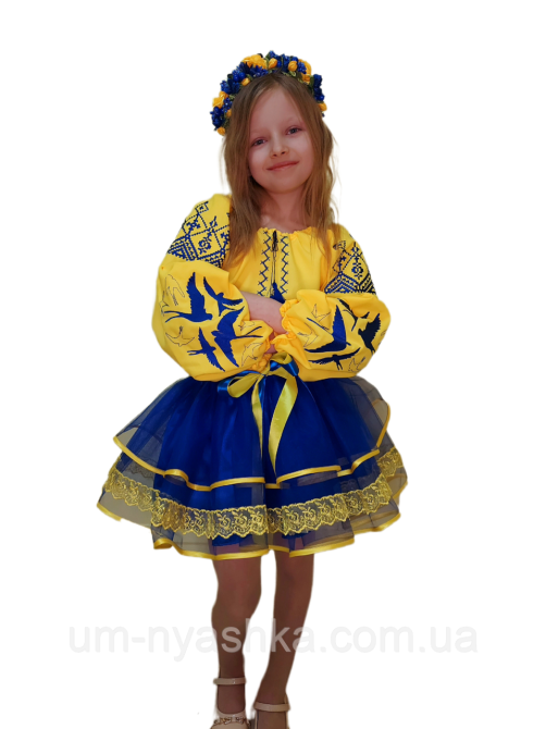 Синьо-жовтий костюм вишиванка "Ластівки-мереживо" Кривий Ріг - фото 5