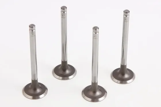 Клапана Таврия AMP впускные (4 шт.) Винница