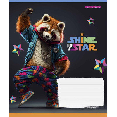 Тетрадь Школярик Dance star 18 листов линия (018-3276L) Винница - изображение 3