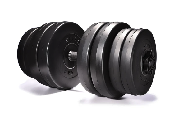 Гантелі Elitum 2 х 31кг Київ