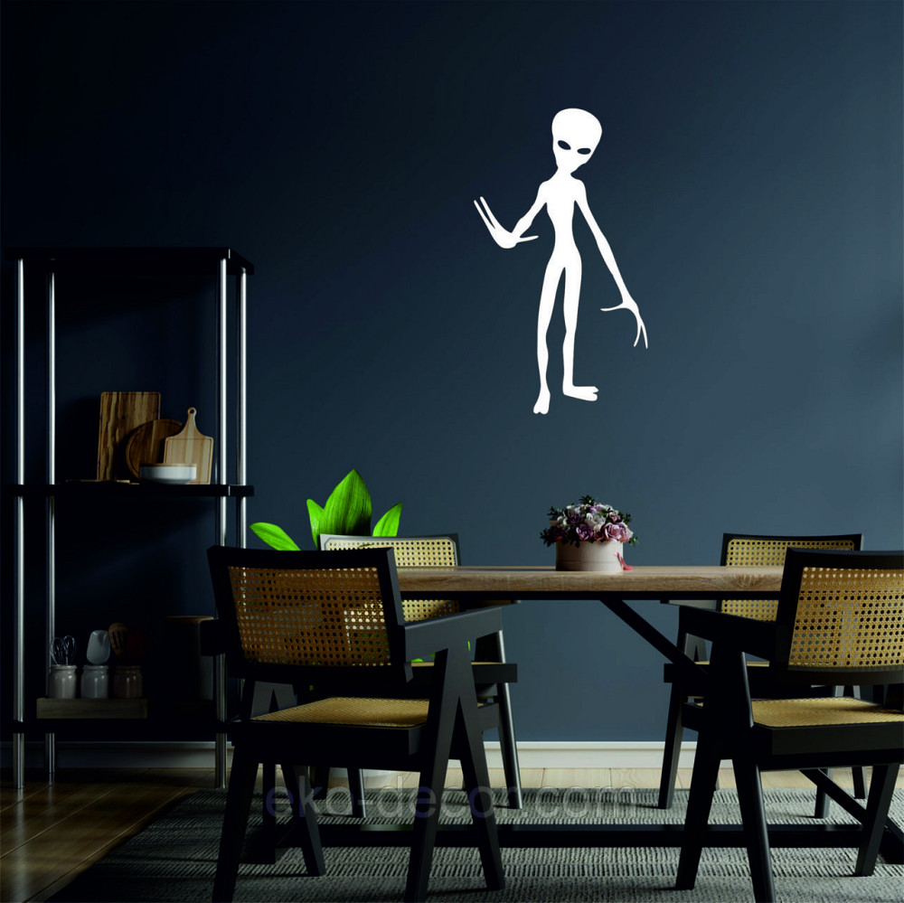 Декоративное настенное Панно «НЛО», Декор на стену 50*28 см, Белый Киев - изображение 6