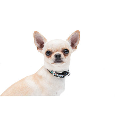 Нашийник для тварин WAUDOG Design з QR паспортом "Пончики" Ш 12 мм Д 18-24 см чорний (36861) Вінниця - фото 8