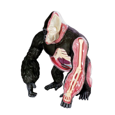 Пазл 4D Master Горила (FM-622012) Вінниця - фото 1