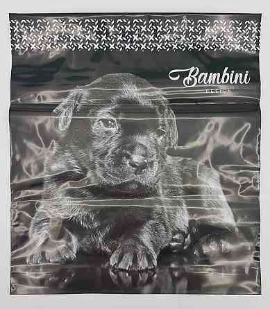 Пакет-сумка 40х45 з пластиковою ручкою  