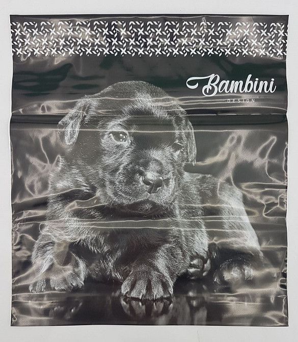 Пакет-сумка 40х45 з пластиковою ручкою  