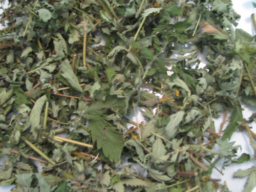 Репешок (трава), 1кг. MasterSEM Киев - изображение 1