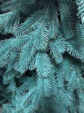 Штучна пухнаста ялинка Еліт (висота 1.50 м) лита (Блакитна) Київ