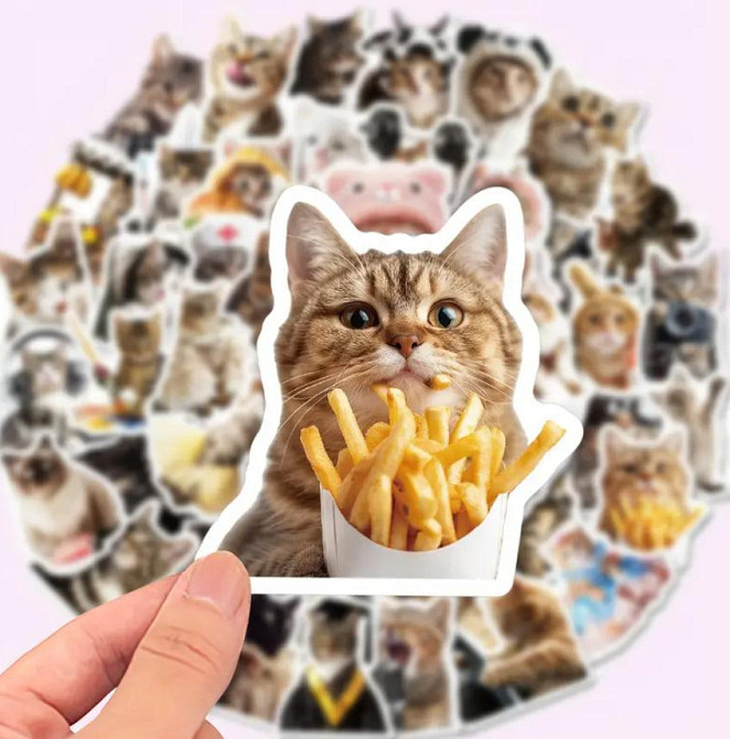 Наклейки Стікери Коти - Водонепроникні Вінілові Естетичні Наклейки з Котами для Пляшки Води, Комп'ют Київ - фото 1