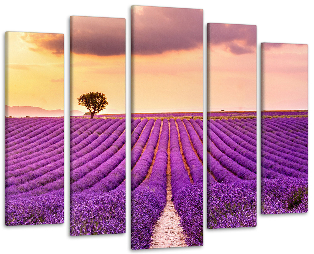 Модульная картина в гостиную / спальню Закат в Поле лаванды Art-402_5 ( 80х118см ) Киев - изображение 1