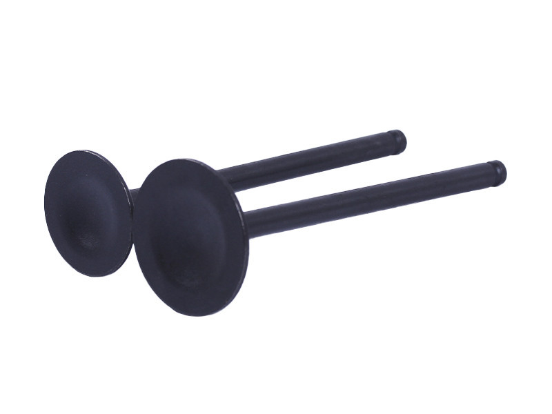 Клапаны (пара, голые) 4T CB125-2 Мукачево - изображение 1