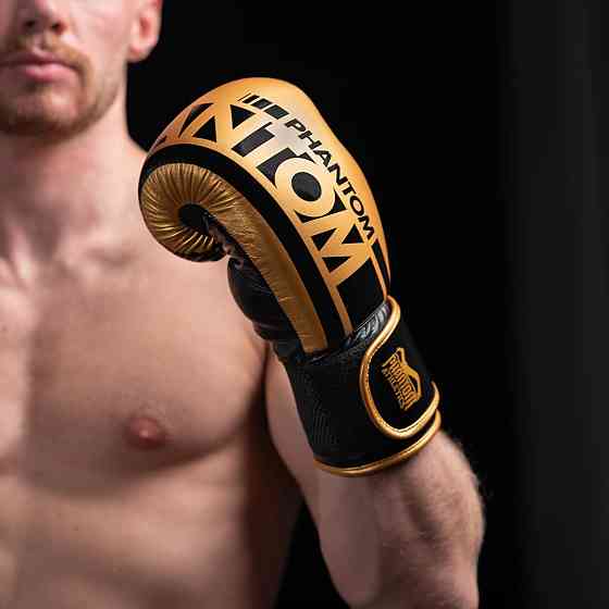 Боксерські рукавиці Phantom APEX Elastic Gold 16 унцій (капа в подарунок) Кам'янське