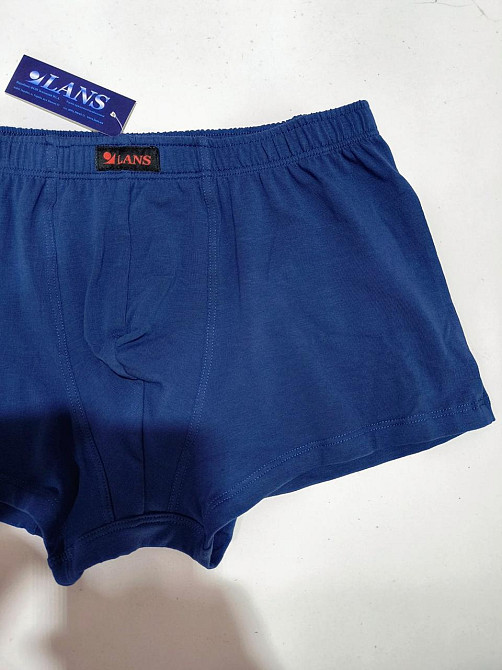Трусы мужские боксеры Lans 07/005 XXL, Синий Киев - изображение 4